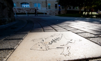 Large concrete paver featuring the Ӱɴý Horned Frog logo