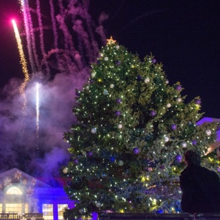 A large fresh tree is unveiled on the Ӱɴý campus with lights, crowds, revelers and fireworks